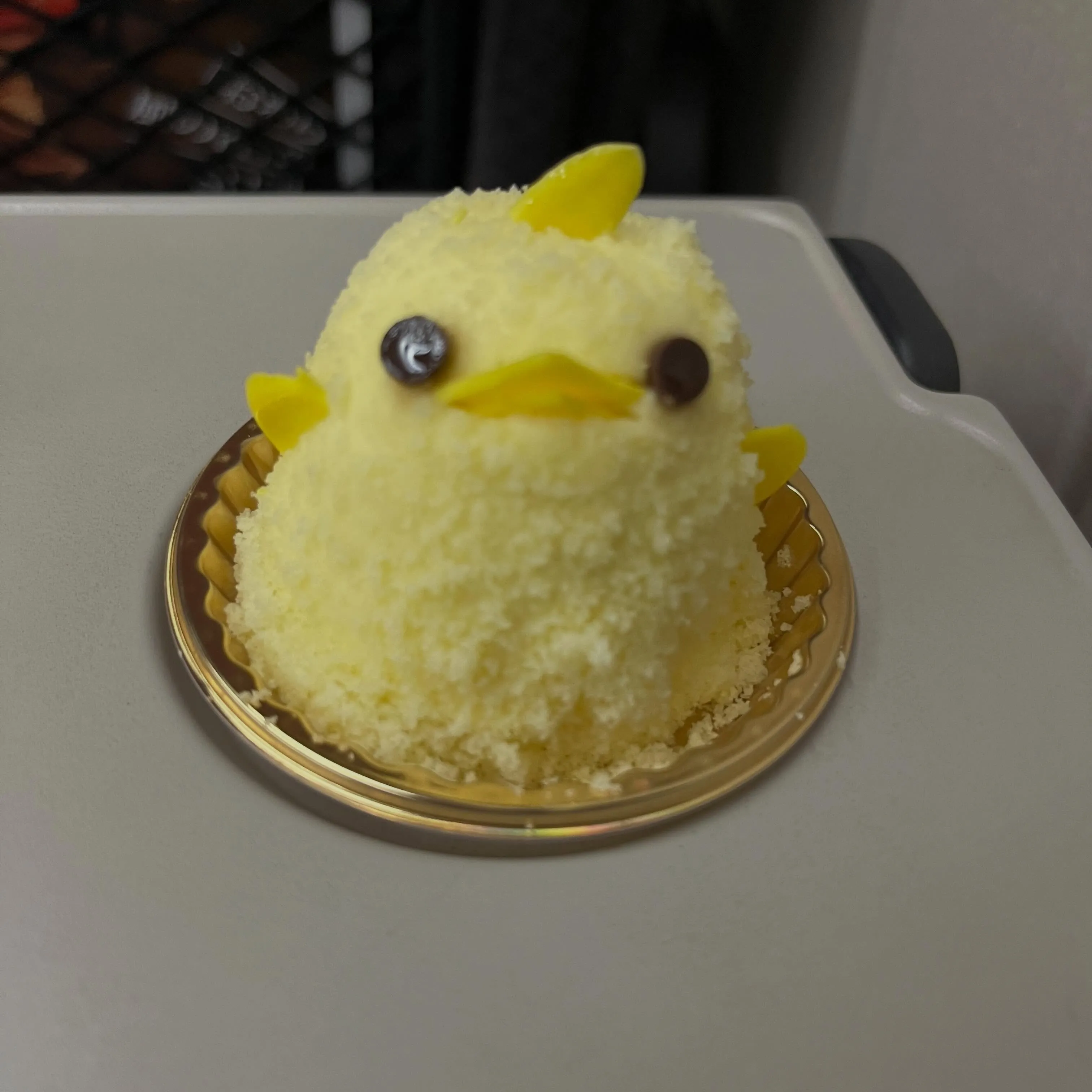 おかえりなさい。